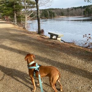 Meet your Posher, Beth